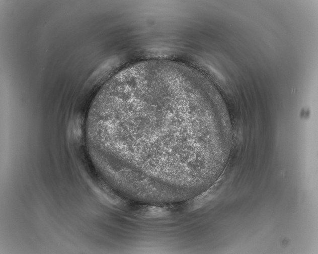 X0000094460166200711291730