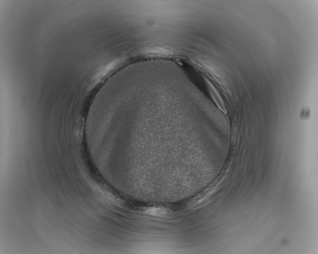 X0000094460168200711291730