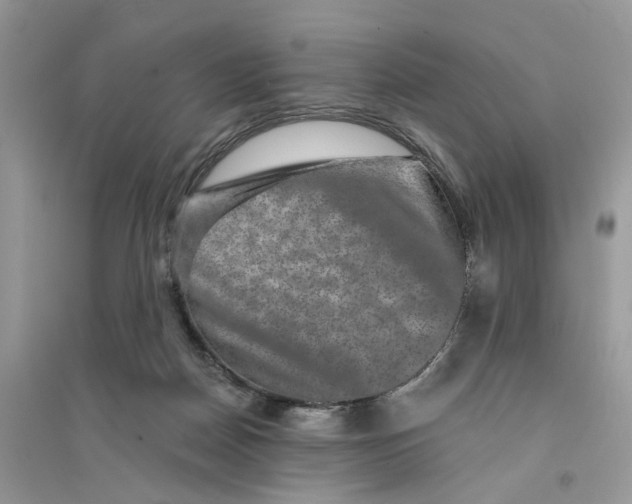 X0000094460170200711291730