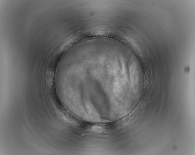 X0000094460171200711291730