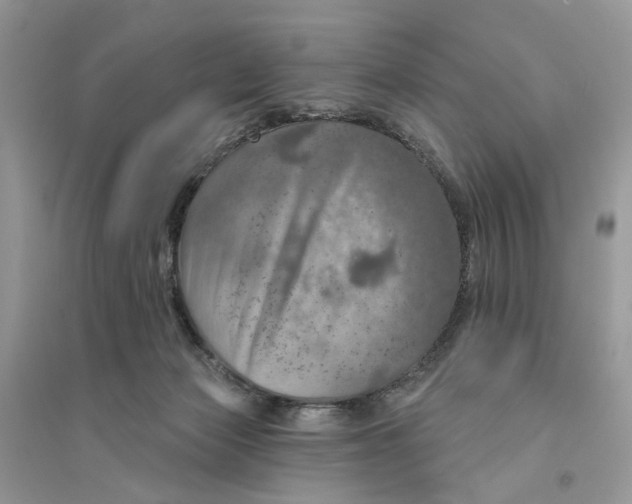 X0000094460173200711291730