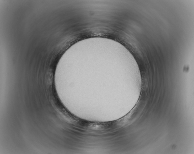 X0000094460174200711291730