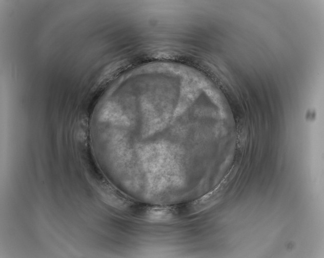 X0000094460175200711291730