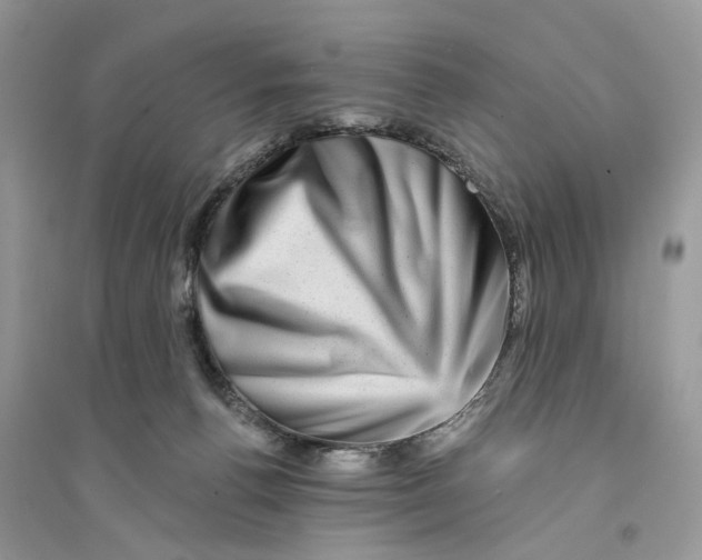 X0000094460176200711291730