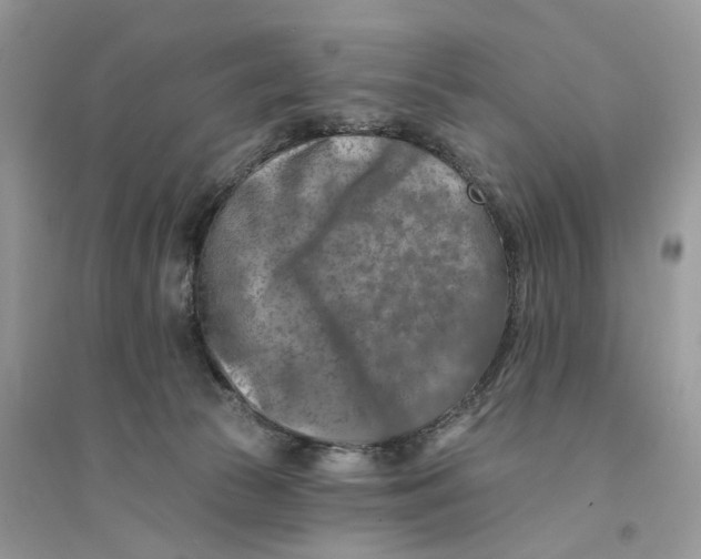 X0000094460177200711291730