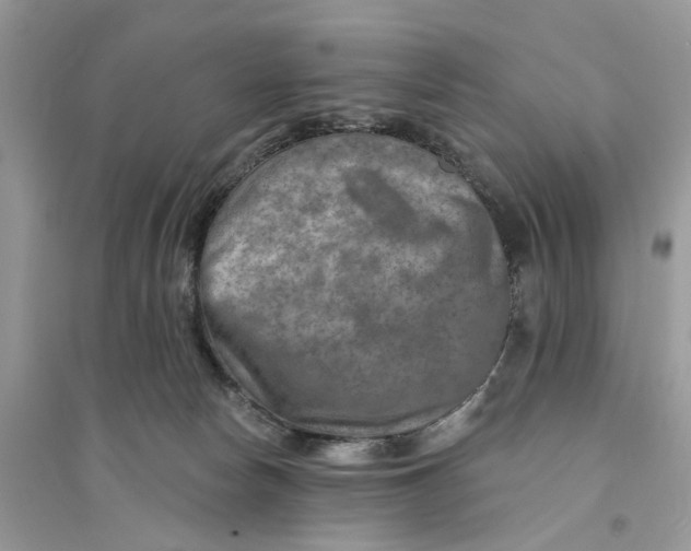 X0000094460178200711291730