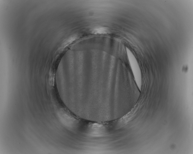 X0000094460180200711291730