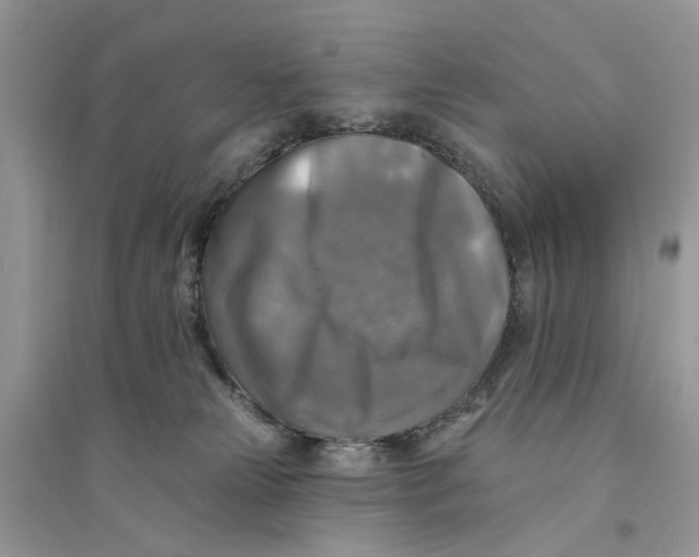 X0000094460181200711291730