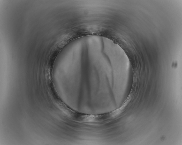 X0000094460182200711291730