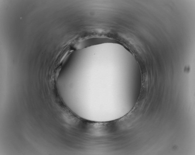 X0000094460184200711291730