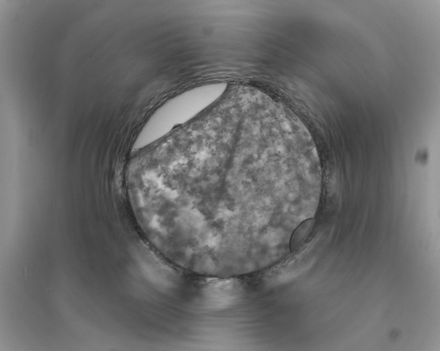 X0000094460185200711291730