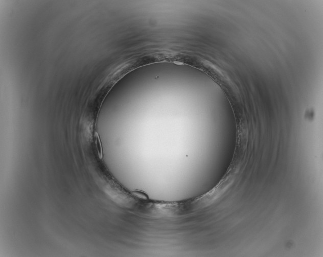 X0000094460188200711291730