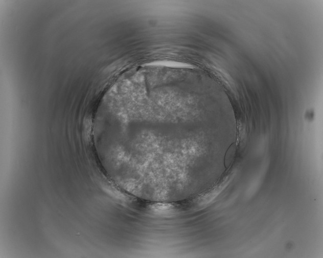 X0000094460189200711291730