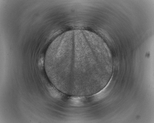 X0000094460190200711291730