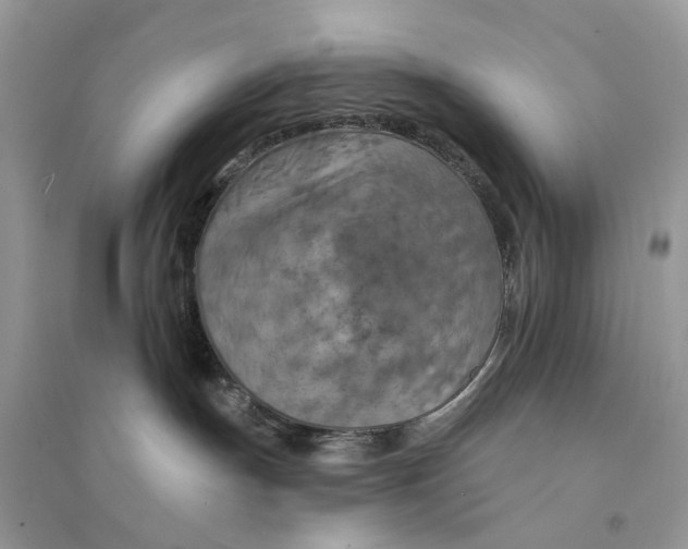 X0000094460191200711291730