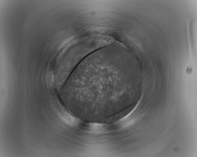 X0000094460192200711291730