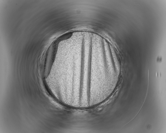 X0000094460193200711291729