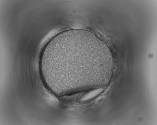 X0000094460197200711291729