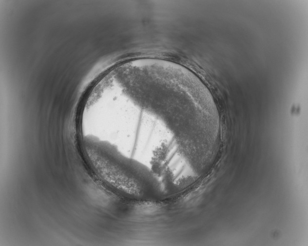 X0000094460198200711291729