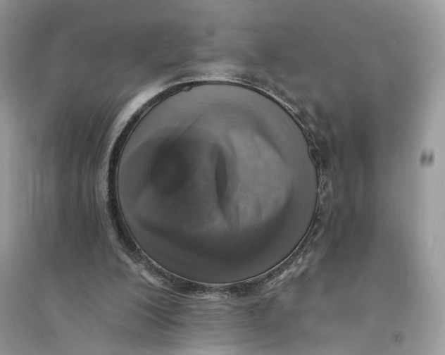 X0000094460200200711291729