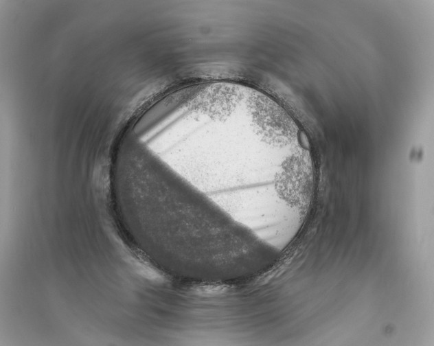 X0000094460202200711291729