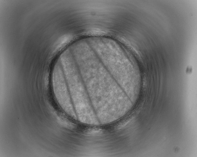 X0000094460206200711291729