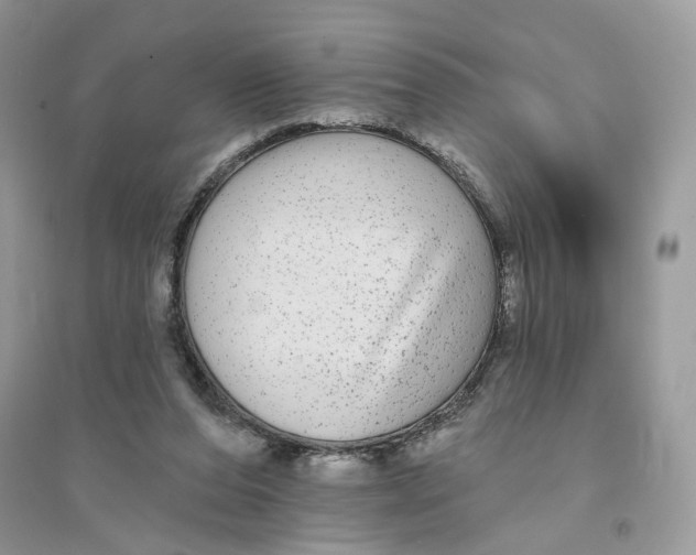 X0000094460208200711291729