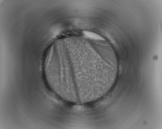 X0000094460211200711291729