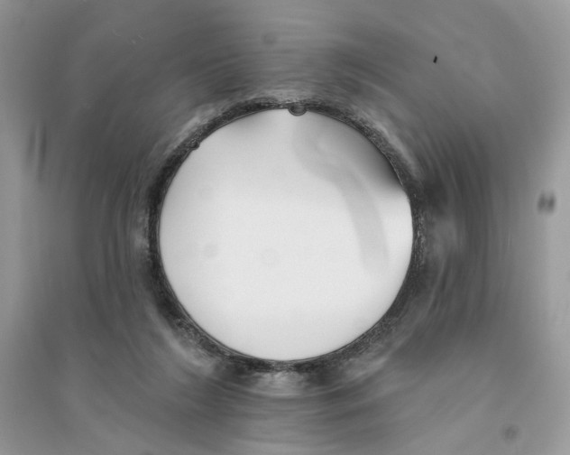 X0000094460212200711291729