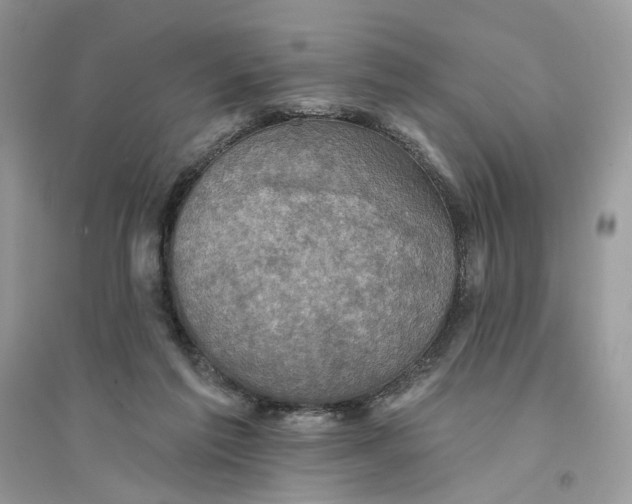 X0000094460213200711291729