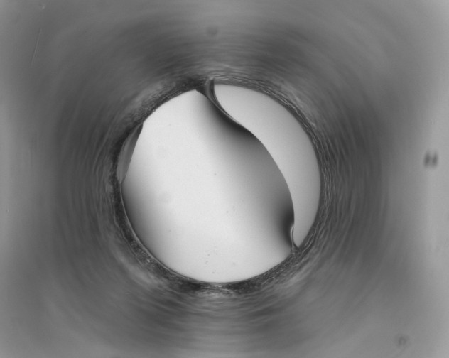 X0000094460215200711291729