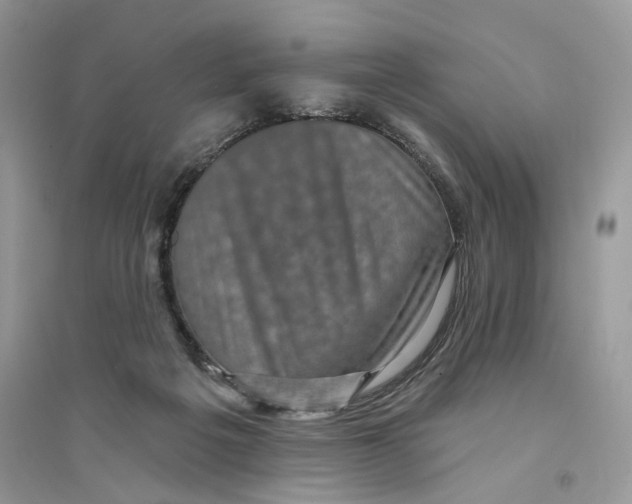 X0000094460217200711291729