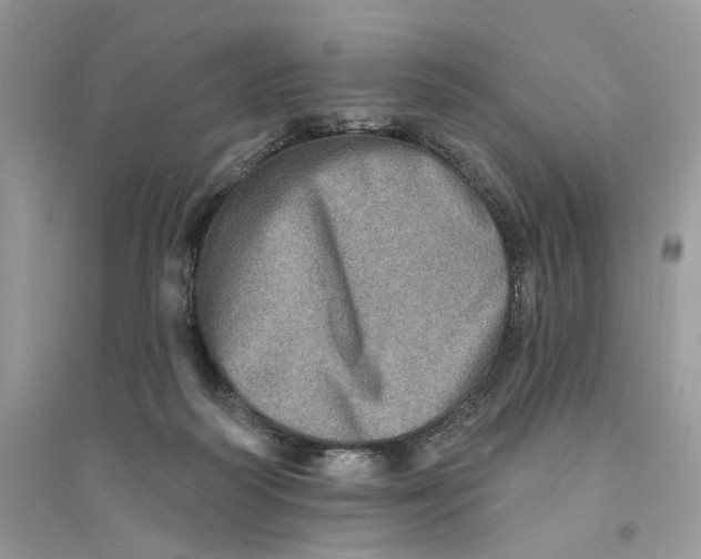 X0000094460218200711291729