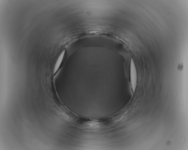 X0000094460219200711291729