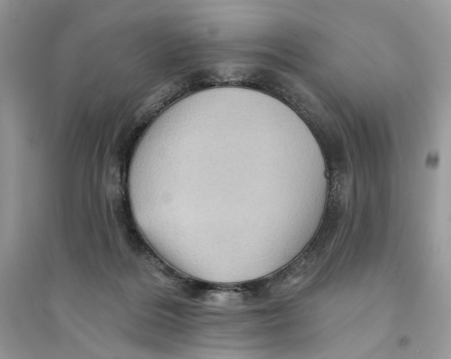 X0000094460220200711291729