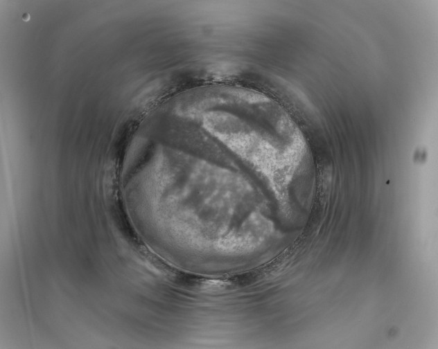 X0000094460222200711291729