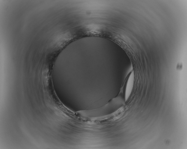 X0000094460223200711291729