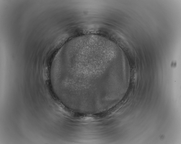 X0000094460224200711291729