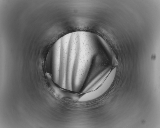 X0000094460225200711291729