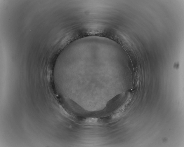 X0000094460227200711291729