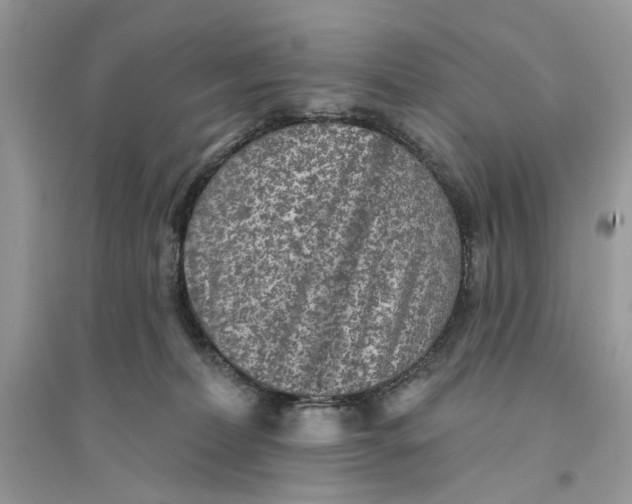 X0000094460228200711291729