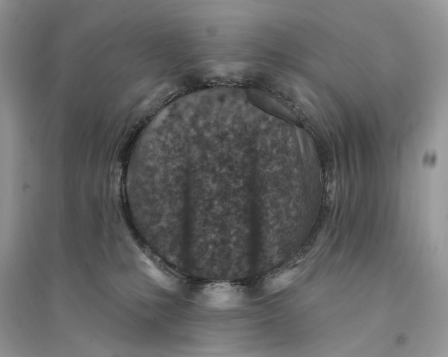 X0000094460231200711291729