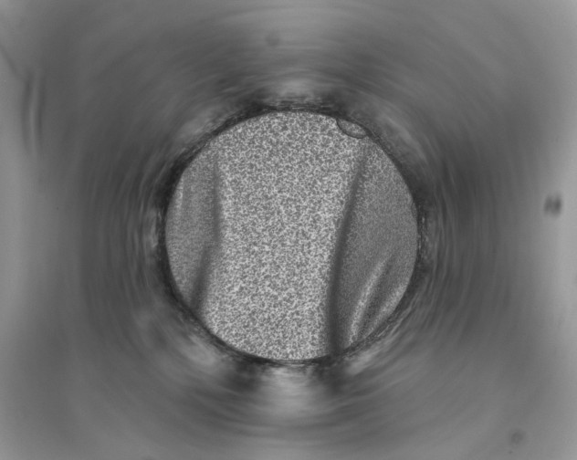 X0000094460232200711291729