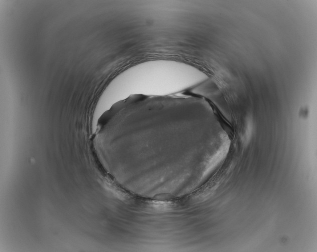 X0000094460233200711291729