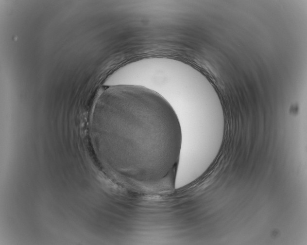 X0000094460237200711291729