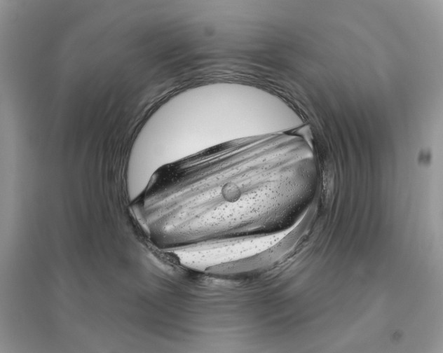 X0000094460239200711291729