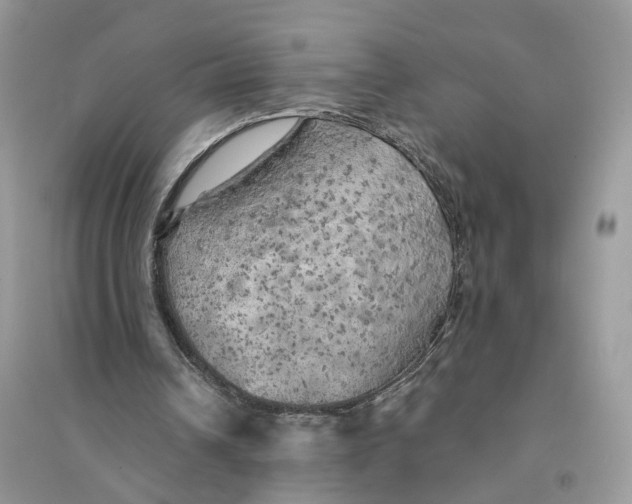 X0000094460242200711291728