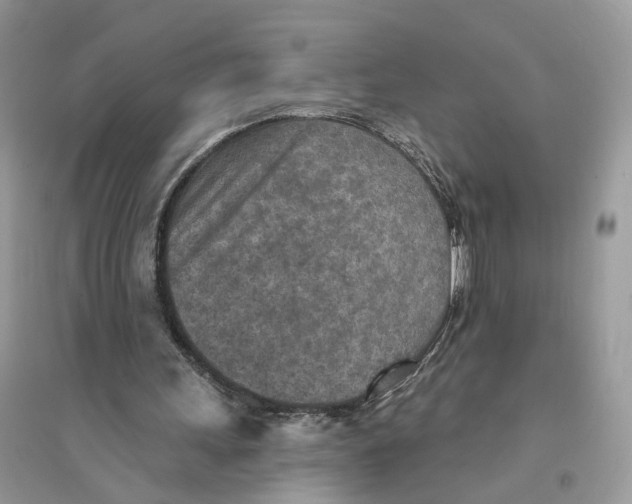 X0000094460243200711291728