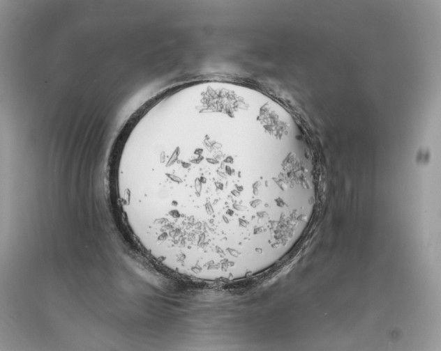 X0000094460246200711291728