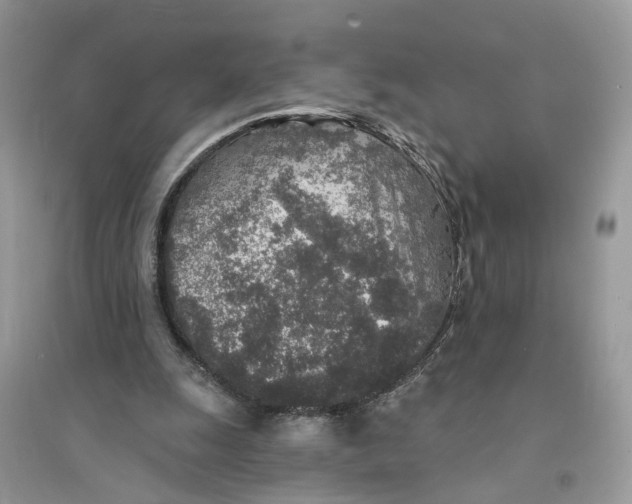 X0000094460247200711291728